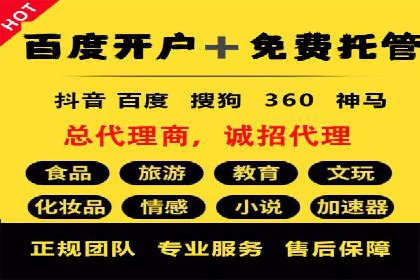 成功案例揭秘：sem账户托管的转化率奇迹